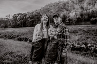 Fairey Family